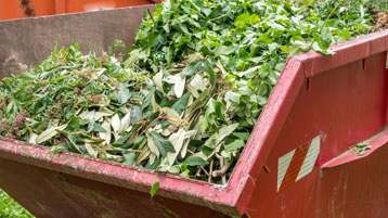 Green Waste Skip Bin 